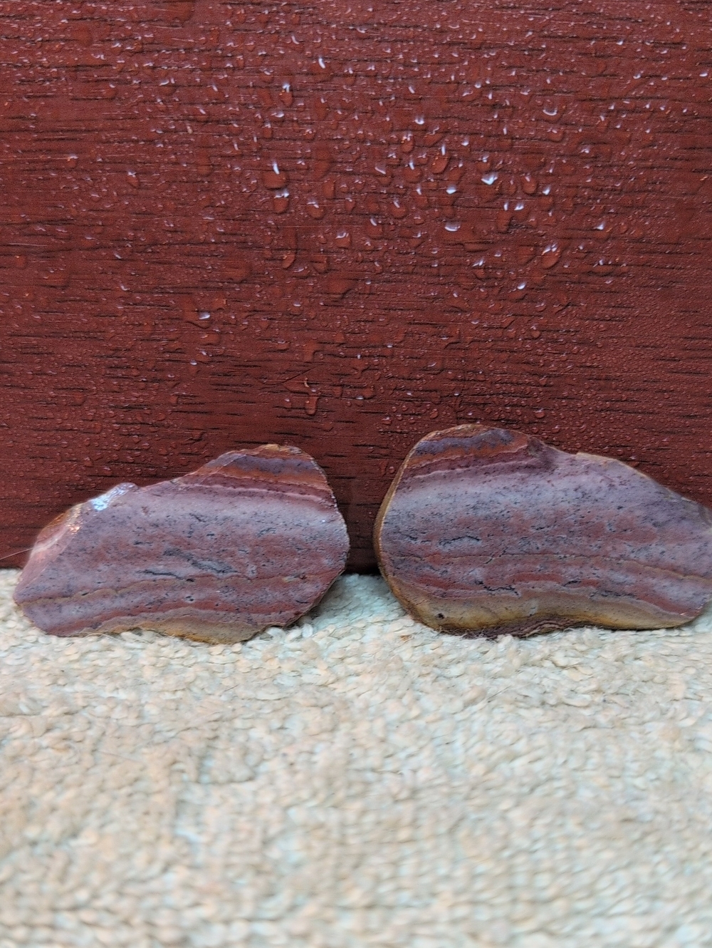 Agate #20